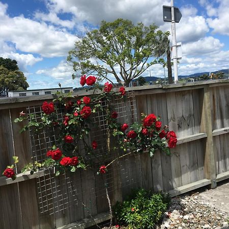 Strand Motel Tauranga Buitenkant foto